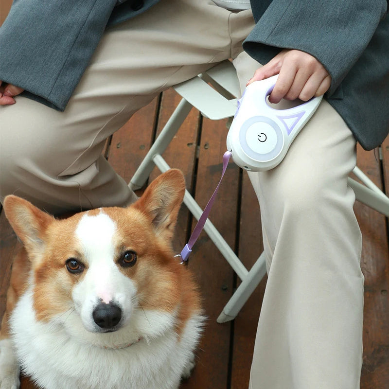 Fetch the Fun.3 And 5 Meters Dog Leash with Light
